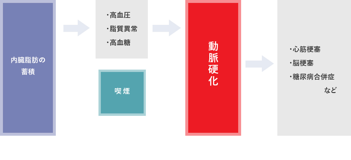 動脈硬化について図解